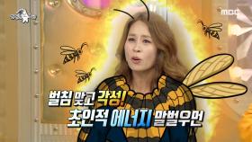 말벌 덕에(?) 초인적 에너지를 얻은 최정원 🐝 MBC 200923 방송