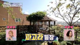 파고라 & 툇마루가 지키는 우리 집 마당~! MBC 201025 방송