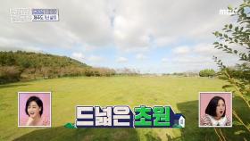 지붕 위에 설치한 태양광 패널! 한채영도 인정한 초원뷰♡ MBC 201115 방송