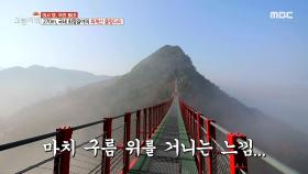 270m, 국내 최장길이의 '채계산 출렁다리' MBC 201118 방송