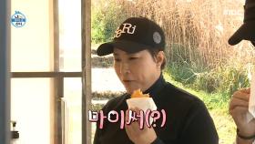 슈크림 붕어빵과 함께하는 본업 세리의 하루 ♬ MBC 201127 방송