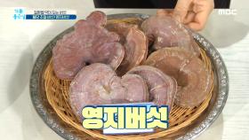 질환별 약이 되는 버섯! MBC 201120 방송