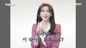 교양 있어 보이는 우리말 - 선바람, MBC 201117 방송