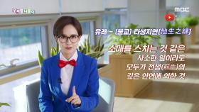 우리말 탐정 - 옷깃/ 옷자락(옷소매), MBC 210122 방송