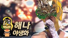 《클린버전》 해나 - 야생화, MBC 190203 방송