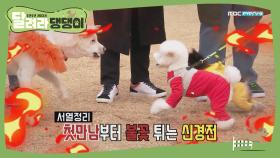 [1회 예고] 이게 바로 개판입니다!