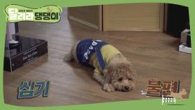 [1회 예고] 집돌이 은찬 & 개춘기 태풍의 일상 공개!