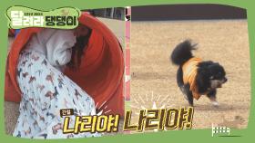 김지민, 핸들러&묘기까지!? 완벽한 주객전도 현장!