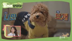 나만 보'개'↗ 형아 밖에 안 보여!