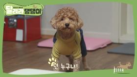 '최.초.공.개!' ♡프린수찬의 반려견 프린은찬!♡