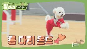 롱 다리 몬드♥, JUMP! JUMP!↑♬
