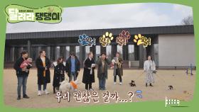 달댕이들의 두근두근(?) 첫 만남♥