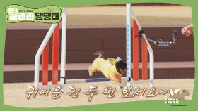 댕댕이 계의 아이돌 카오♥, 간식으로 집중도 UP↑!