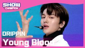 [COMEBACK] 드리핀 - 영 블러드 (DRIPPIN - Young Blood)
