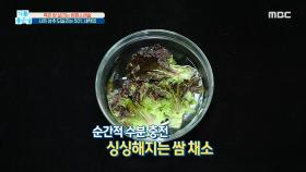 시든 상추 되살리는 50℃ 세척법!, MBC 210408 방송