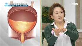 빈뇨·절박뇨·잔뇨감! 원인 다 다르다?, MBC 210415 방송