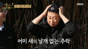 지상렬의 전문가 포스에 쭈굴해진 박명수😥, MBC 210419 방송
