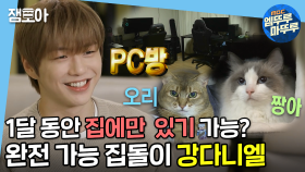 [엠뚜루마뚜루] 고양이부터 PC방까지🖥 다녤이 왜 집돌이인지 알겠다(*ฅ́˘ฅ̀*) | #나혼자산다 MBC210423방송