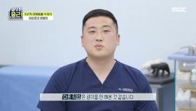 5년 차 야생동물 수의사 임승효의 밥벌이! ＂야생동물이 좋아서 수의사가 됐죠🤗＂, MBC 210427 방송