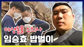 《스페셜》 곰을 마주쳤다면 이렇게 해라! 야생동물 수의사 임승효 밥벌이, MBC 210427 방송