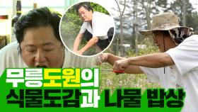 《스페셜》 무릉도원의 식물도감과 나물 밥상!, MBC 210430 방송