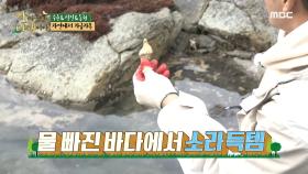 오랜만에 수확의 기쁨을 누리는 석진&수용&동현!😝 , MBC 210503 방송