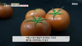 달달한 토마토의 비밀, MBC 210511 방송