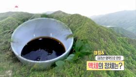 심봤다! 지리산 품은 산양삼, MBC 210514 방송