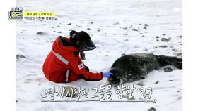 펭귄과 물범에 빠진 박지강 ＂이 친구들을 연구하면 즐겁고 행복하겠다＂ , MBC 210518 방송