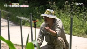 초보 농사꾼들의 귀농 도전기, MBC 210602 방송