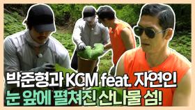 《스페셜》 박준형과 KCM의 지리산 산나물 채취하기! feat. 자연인, MBC 210614 방송