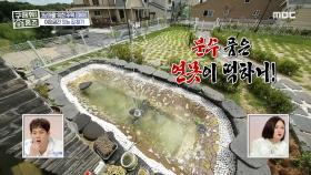 황금 연못에서 펼쳐지는 환상의 분수쇼?! ＜황금 연못 주택＞, MBC 210822 방송
