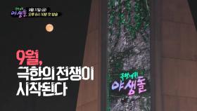 [티저] 리얼 야생에서 펼쳐지는 데뷔 경쟁💥 극한의 전쟁이 시작된다! 극한데뷔 야생돌🐆, MBC 210917 방송