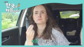 떡 러버 스테파니의 행복한 양양 떡 시식 (쫄깃!)