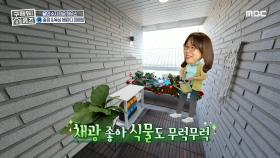 우리 집 비밀 중정 등장🍀 연기 걱정 NO 바비큐 파티 OK, MBC 211003 방송