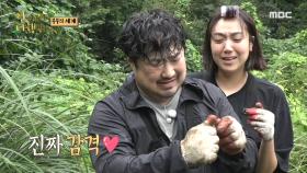 바로 더덕을 찾은 김민기에 승부욕 발동하는 강재준💥, MBC 211004 방송