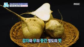 당뇨 예방하는 음식 공개!, MBC 211011 방송