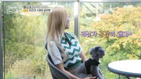 멋진 뷰🌟 자연이 한눈에 담기는 탁 트인 베란다~ , MBC 211013 방송
