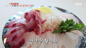 직접 잡아 오는, 자연산 활어회의 매력! , MBC 211015 방송