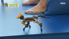 보물 상자 안에 고이 모셔둔(?) 직접 만든 반려로봇 득구🐕🤖, MBC 211019 방송