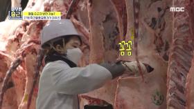 영하의 작업장 입성! 육질&육량으로 소 등급을 판정하는 축산물품질평가사 이유리!🥩, MBC 211109 방송