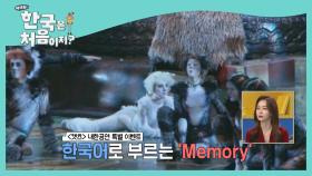'캣츠' 내한공연 이벤트! 'Memory' 한국어 ver.