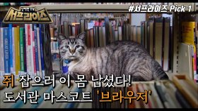 미국을 떠들썩하게 만든 도서관 사서의 정체는?, MBC 220123 방송