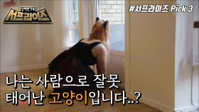 노르웨이 오슬로, 사람으로 잘못(?) 태어난 고양이 ‘나노’?!, MBC 220123 방송