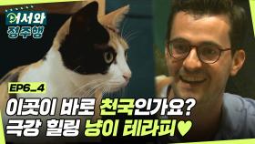 이곳이 바로 천국인가요...? 극강 힐링 냥이 테라피에 행복한 독일인들♥ l #어서와정주행​ l #MBCevery1 l EP. 6-4