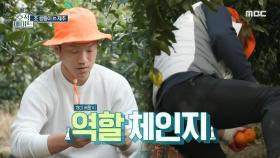 조쌍둥이의 두 번째 아르바이트! 감귤무덤(?) 만들기🍊, MBC 220405 방송