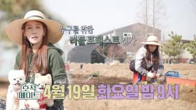 ＜누구를 위한 리틀 포레스트인가?!＞호적메이트 14회 예고, MBC 220419 방송