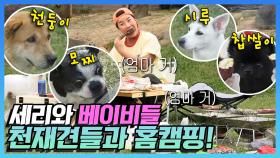 《스페셜》 '이거는 엄마 거~' 세리와 베이비들의 앞 마당 홈 캠핑! 🍗꺼내는 족족 남다른 스케일의 음식들!🥩 , MBC 220520 방송