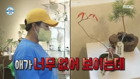 ＂저 같은 초보가 키우기 쉬운...💦＂ 식집사를 꿈꾸는 세리🌟 과연 박세리의 선택을 받은 식물은?!, MBC 220624 방송