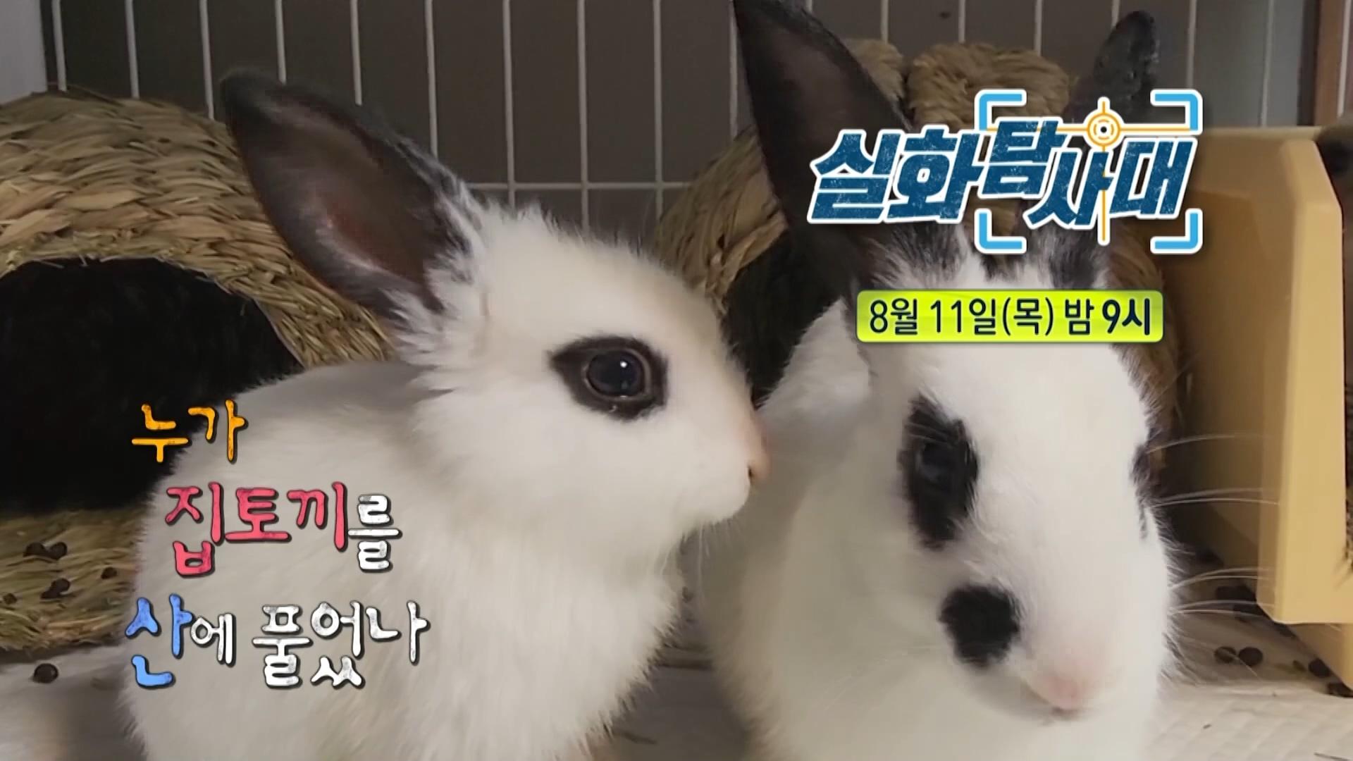 ＜0원으로 집 500여 채를! 빌라 여왕의 비밀은? & 누가 집토끼를 산에 풀었나＞ 181회 예고, MBC 220811 방송 | ZUM TV